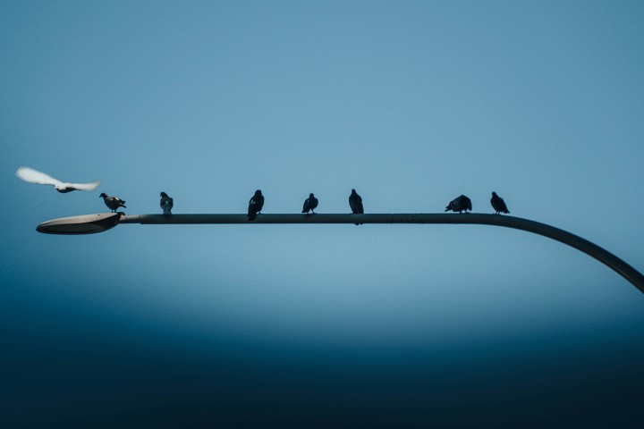 Successieplanning gaat niet alleen om centen