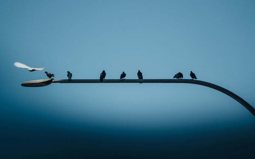 Successieplanning gaat niet alleen om centen